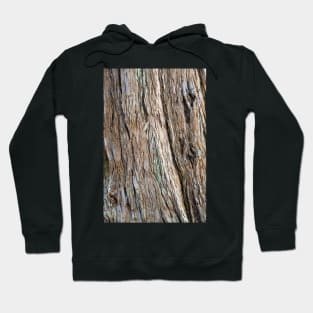 Tree Bark - Natural Texture Closeup Hoodie